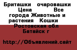 Бриташки - очаровашки.  › Цена ­ 3 000 - Все города Животные и растения » Кошки   . Ростовская обл.,Батайск г.